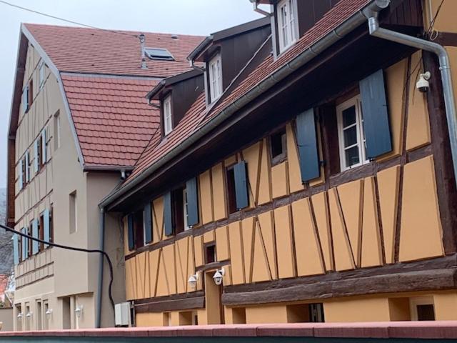 ヴィンツェンハイム Coeur D'Alsace Colmar Vignobles Ouest Avec Terrassesヴィラ エクステリア 写真