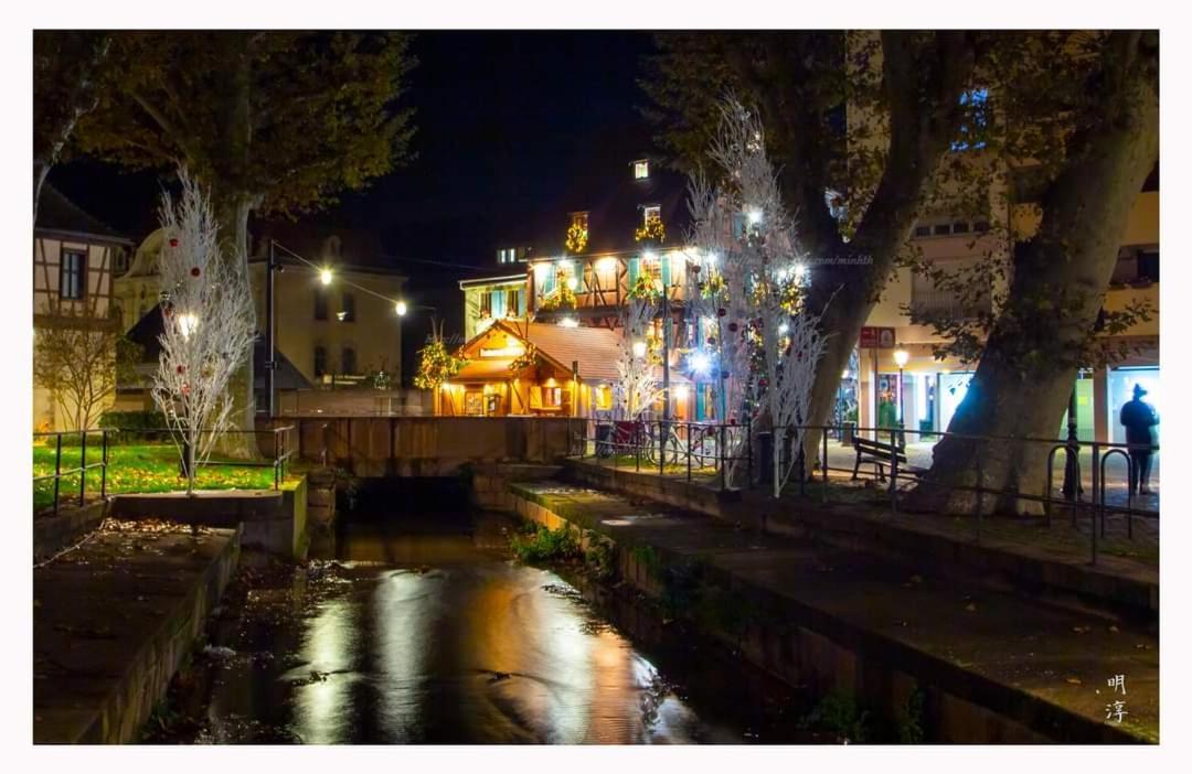 ヴィンツェンハイム Coeur D'Alsace Colmar Vignobles Ouest Avec Terrassesヴィラ エクステリア 写真