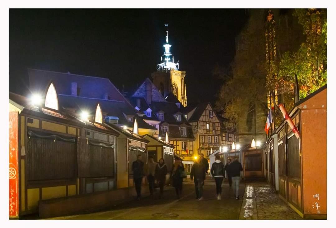 ヴィンツェンハイム Coeur D'Alsace Colmar Vignobles Ouest Avec Terrassesヴィラ エクステリア 写真